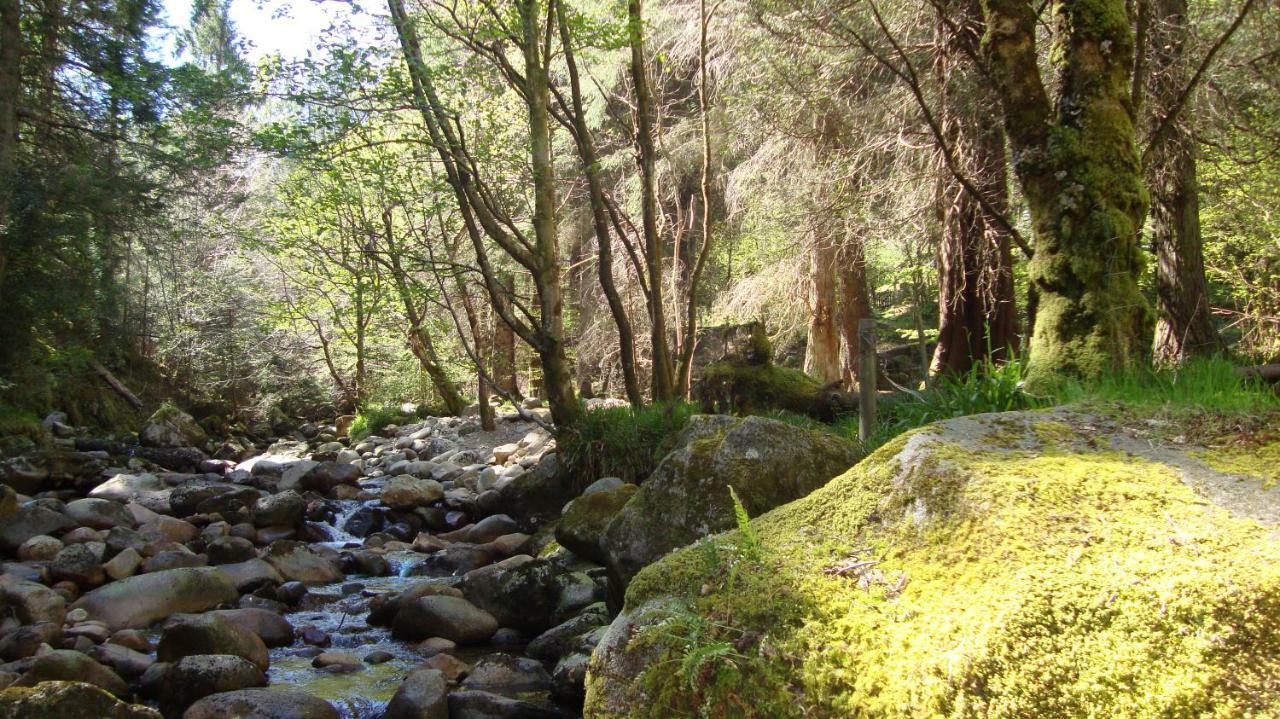 הוילה באלאכוליש The Glen מראה חיצוני תמונה